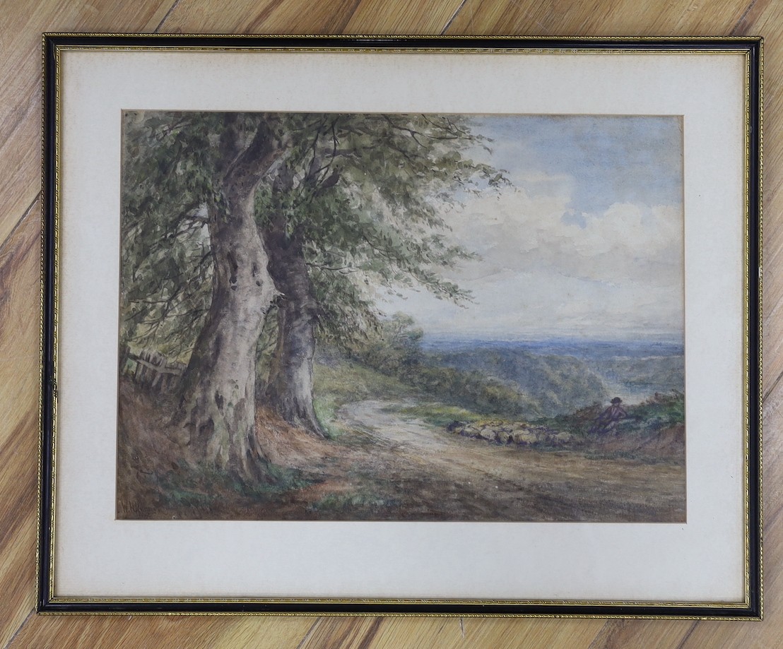 William Henry Vernon (1820-1909), watercolour, Shepherd and flock beside a lane, signed, 27 x 38cm